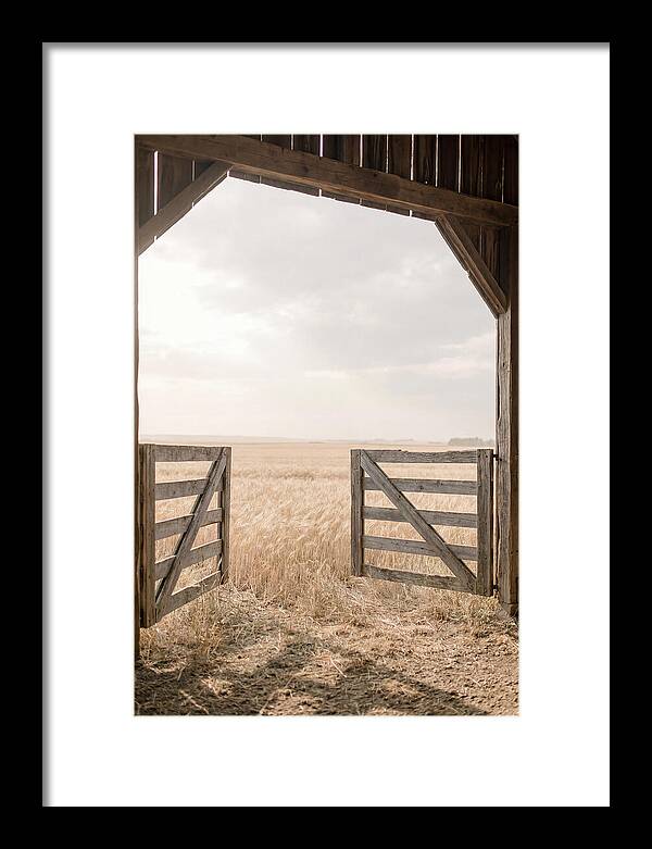 Farm Gate Open To Golden Wheat Field