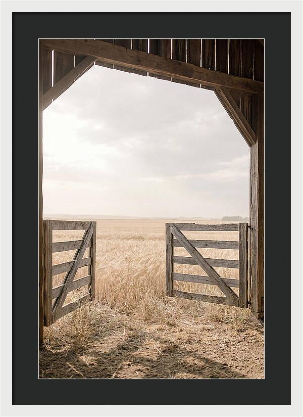 Farm Gate Open To Golden Wheat Field