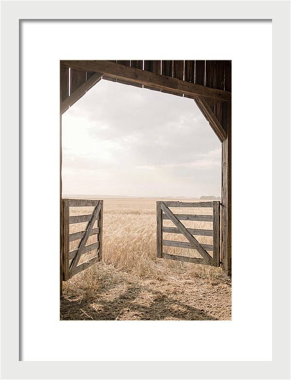 Farm Gate Open To Golden Wheat Field