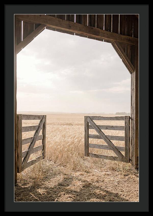 Farm Gate Open To Golden Wheat Field