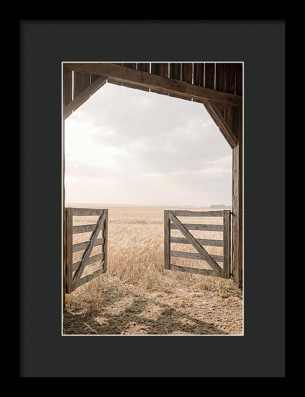 Farm Gate Open To Golden Wheat Field