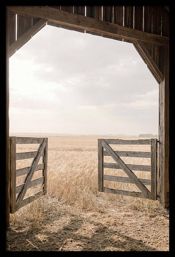 Farm Gate Open To Golden Wheat Field