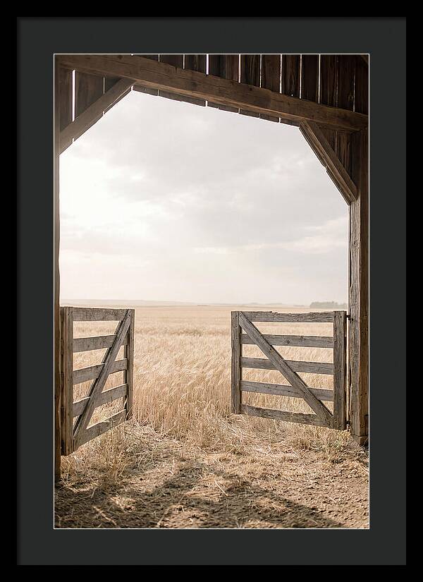 Farm Gate Open To Golden Wheat Field