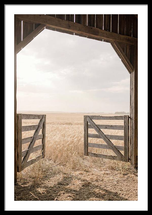 Farm Gate Open To Golden Wheat Field