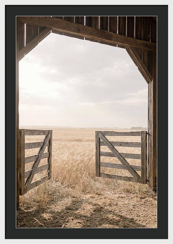 Farm Gate Open To Golden Wheat Field