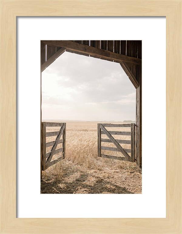 Farm Gate Open To Golden Wheat Field