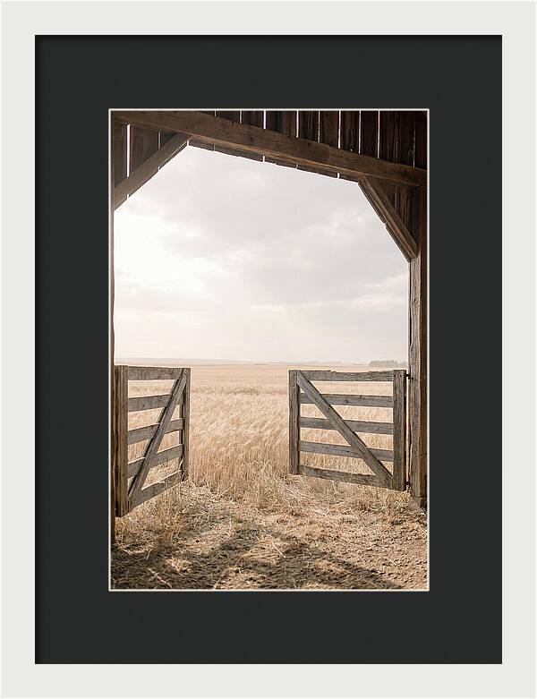 Farm Gate Open To Golden Wheat Field