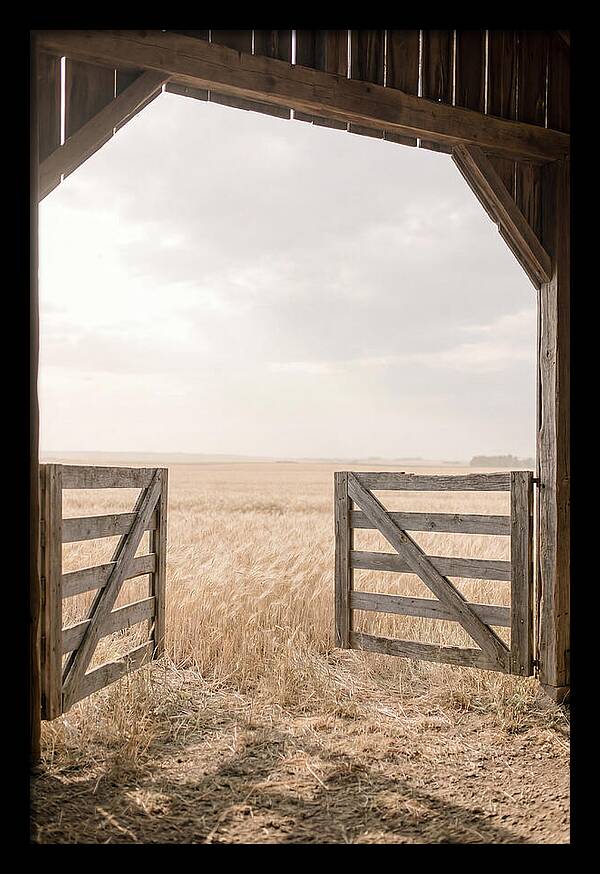 Farm Gate Open To Golden Wheat Field