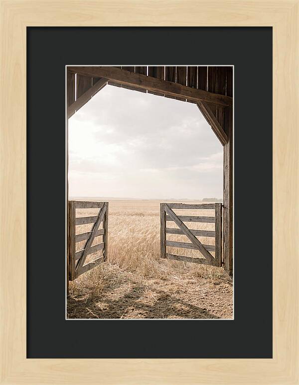 Farm Gate Open To Golden Wheat Field