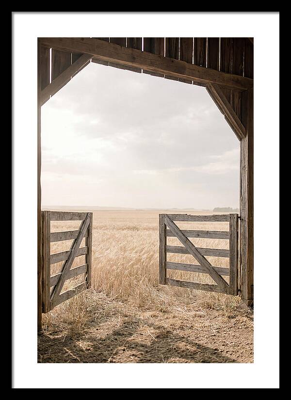 Farm Gate Open To Golden Wheat Field