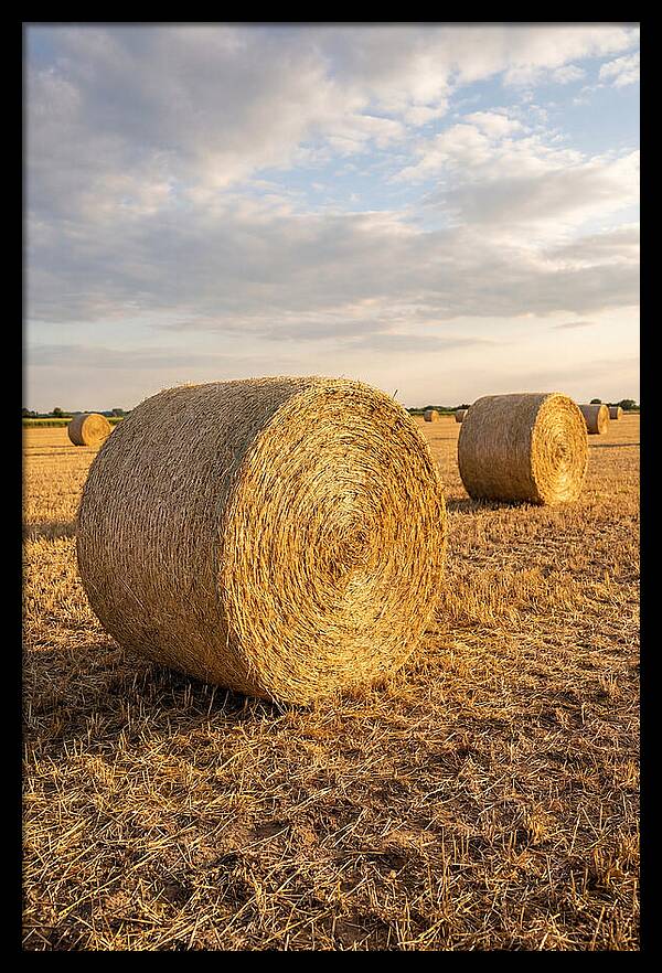 Farm Hay Bales Under Sunset
