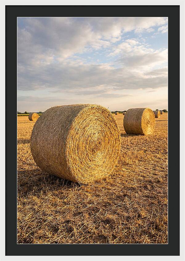 Farm Hay Bales Under Sunset