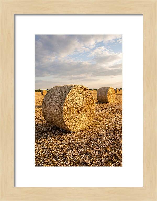 Farm Hay Bales Under Sunset