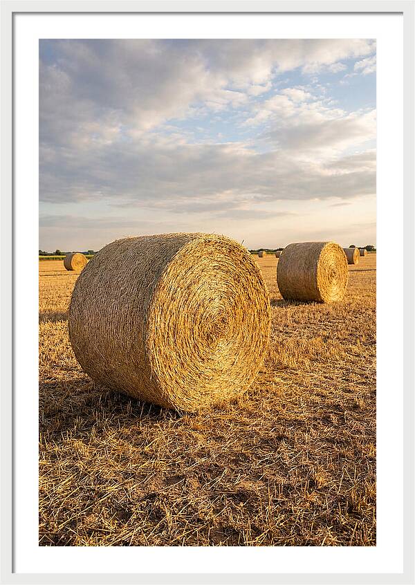 Farm Hay Bales Under Sunset