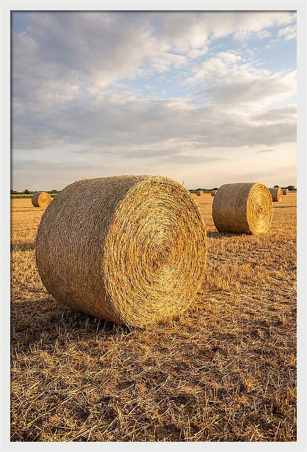 Farm Hay Bales Under Sunset