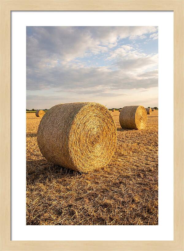 Farm Hay Bales Under Sunset