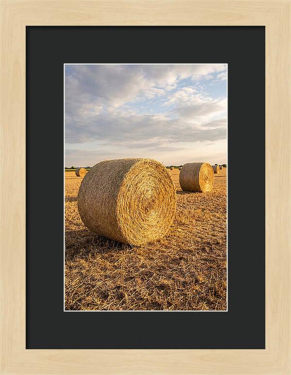 Farm Hay Bales Under Sunset