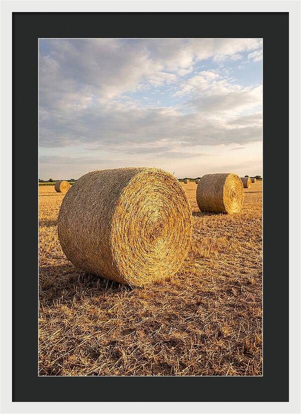 Farm Hay Bales Under Sunset