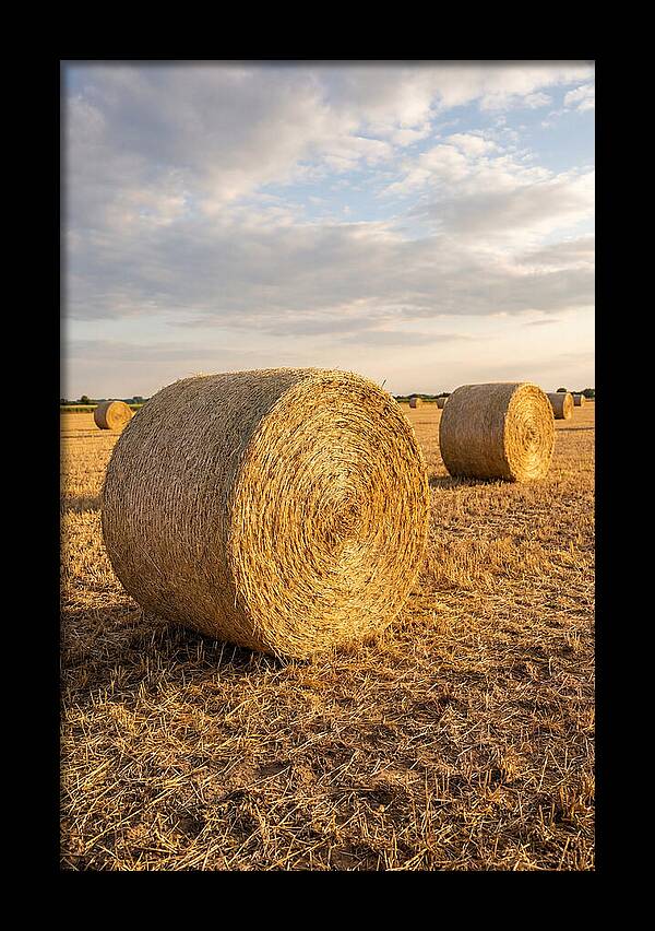Farm Hay Bales Under Sunset