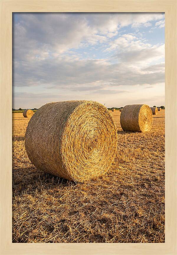Farm Hay Bales Under Sunset