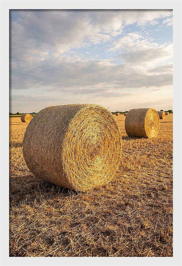 Farm Hay Bales Under Sunset