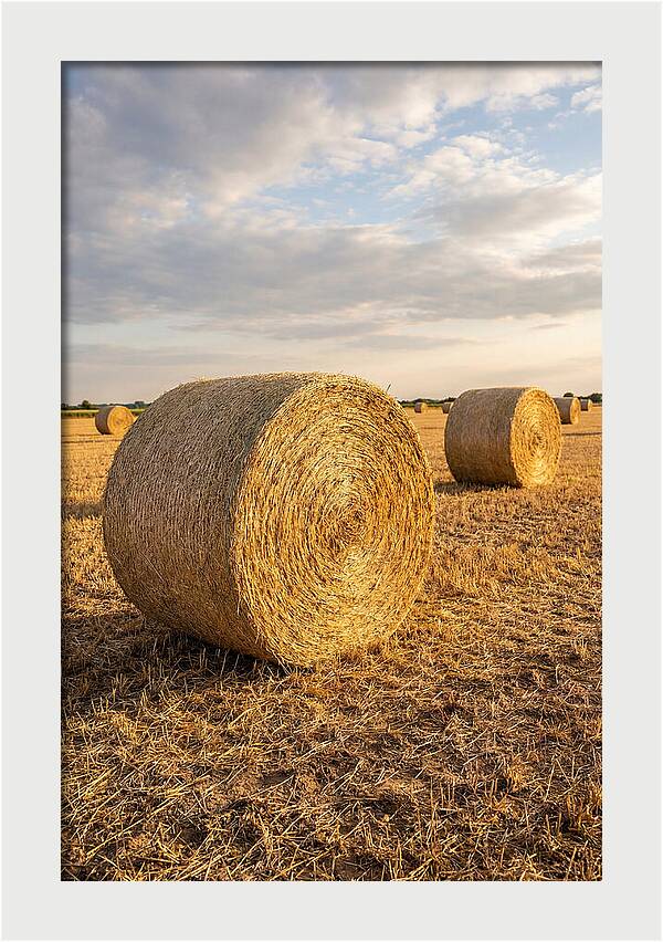 Farm Hay Bales Under Sunset