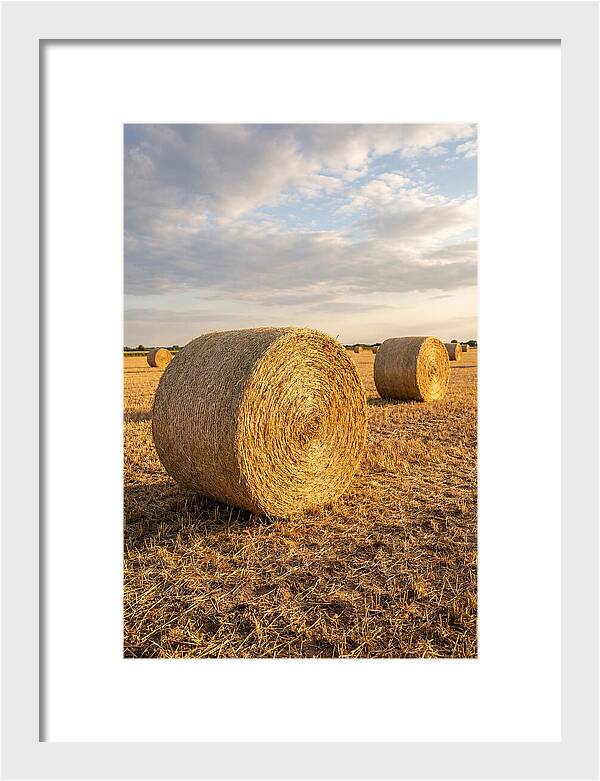 Farm Hay Bales Under Sunset