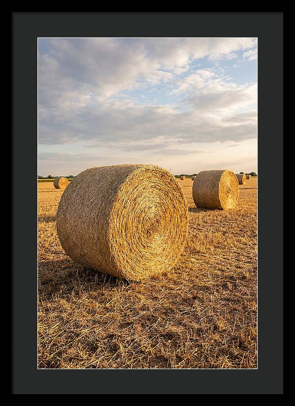 Farm Hay Bales Under Sunset