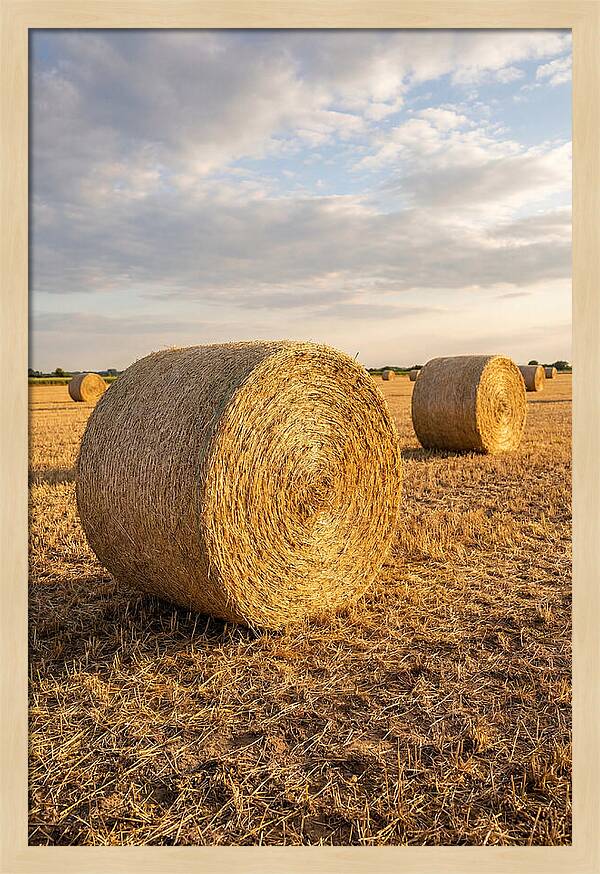 Farm Hay Bales Under Sunset