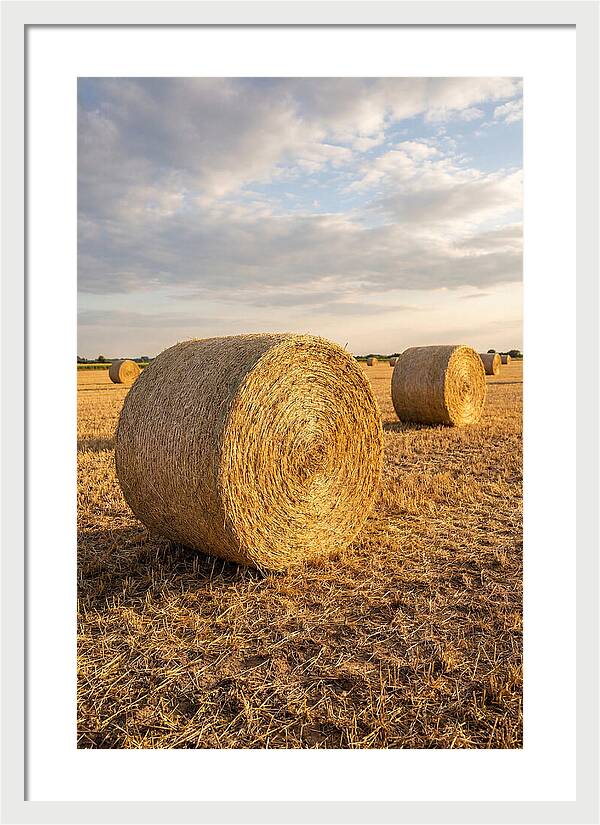 Farm Hay Bales Under Sunset