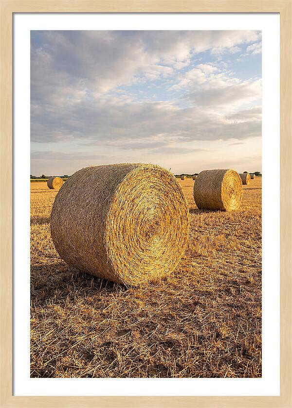 Farm Hay Bales Under Sunset