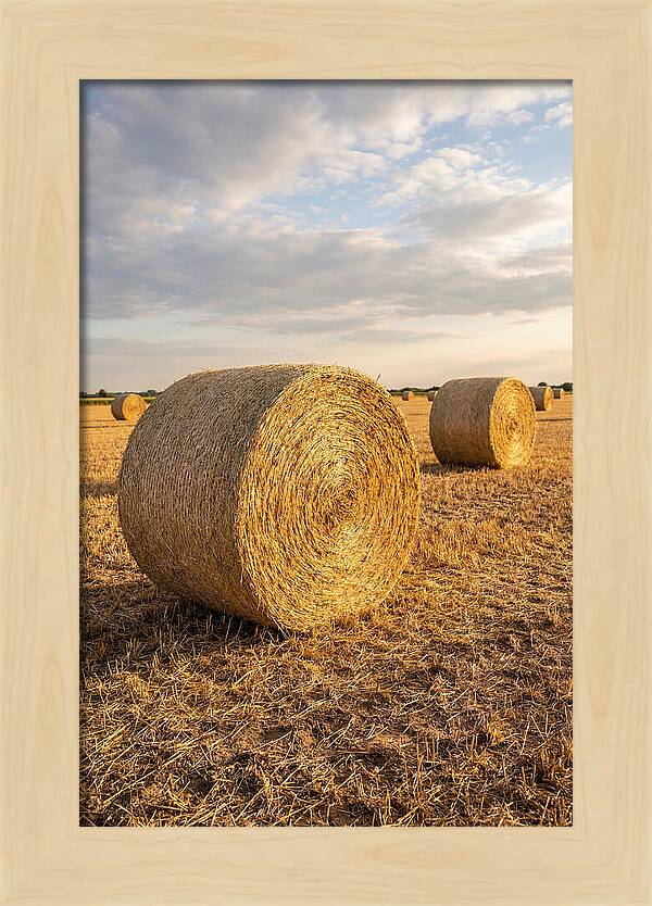 Farm Hay Bales Under Sunset