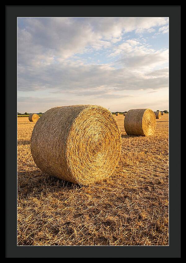 Farm Hay Bales Under Sunset