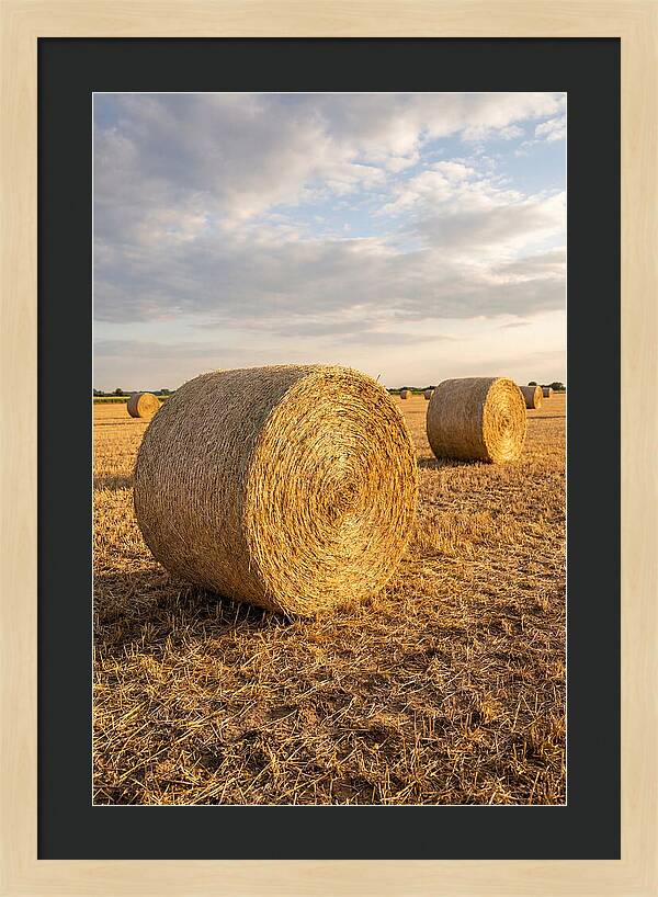 Farm Hay Bales Under Sunset