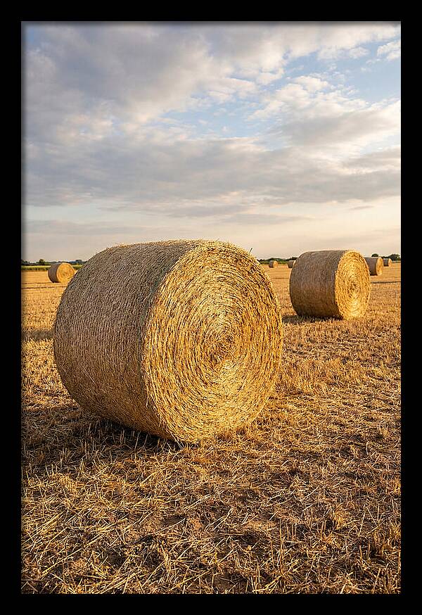 Farm Hay Bales Under Sunset