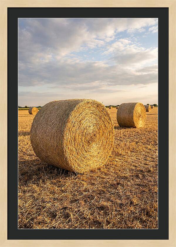 Farm Hay Bales Under Sunset