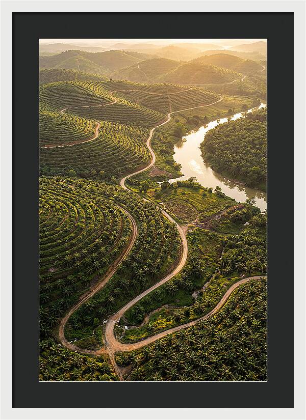 Farm Landscape At Dusk