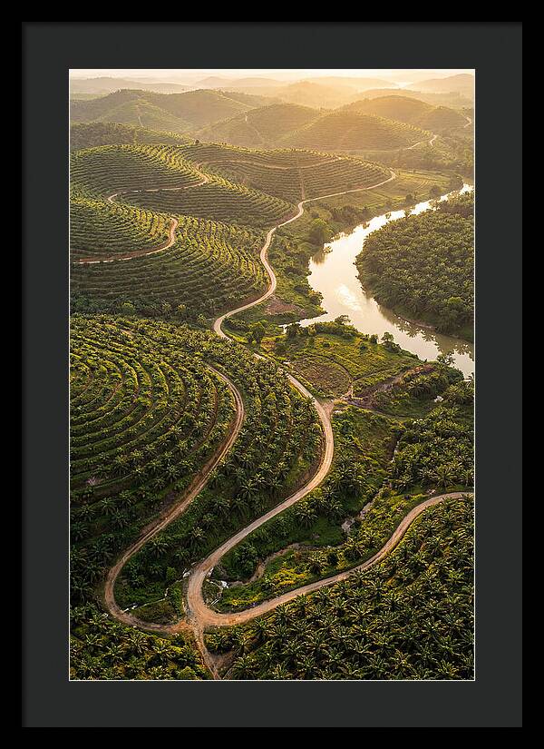 Farm Landscape At Dusk