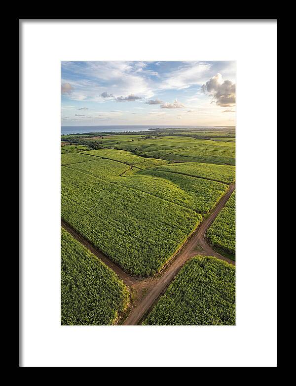 Farm Landscape Under Golden Skies