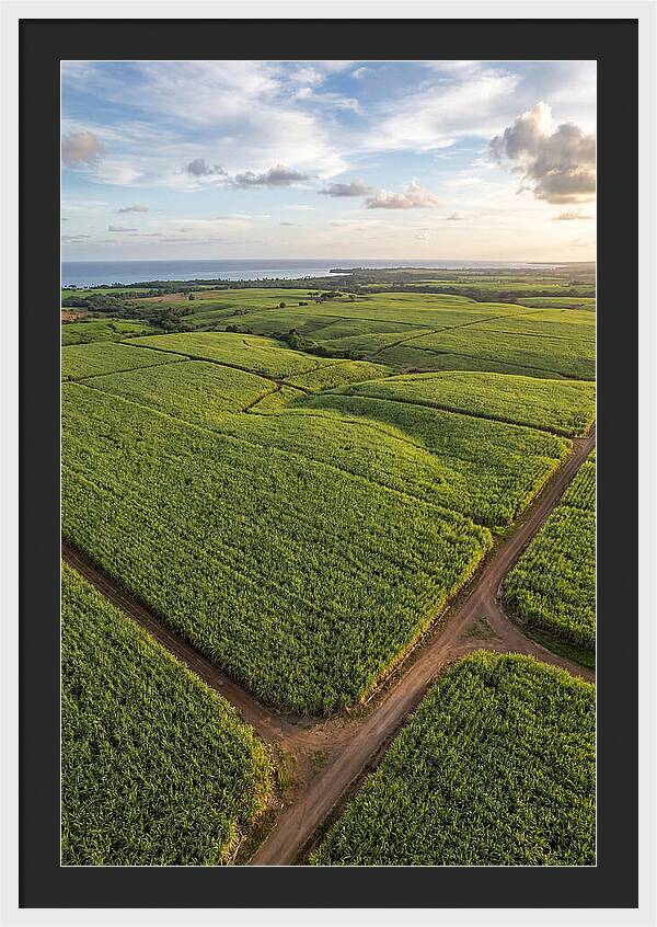 Farm Landscape Under Golden Skies