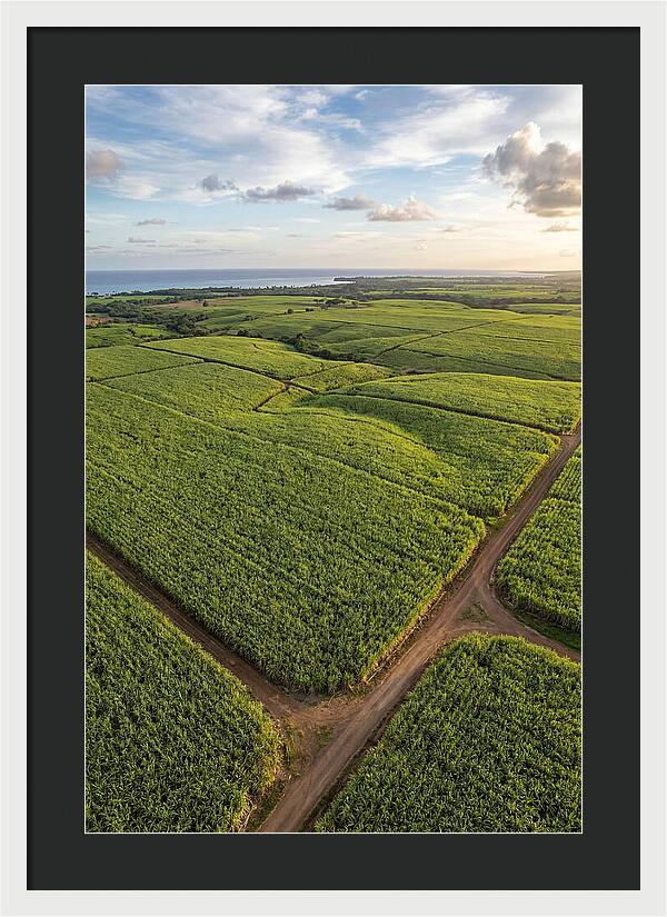 Farm Landscape Under Golden Skies