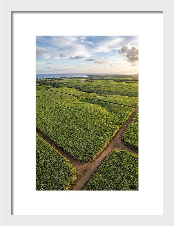 Farm Landscape Under Golden Skies
