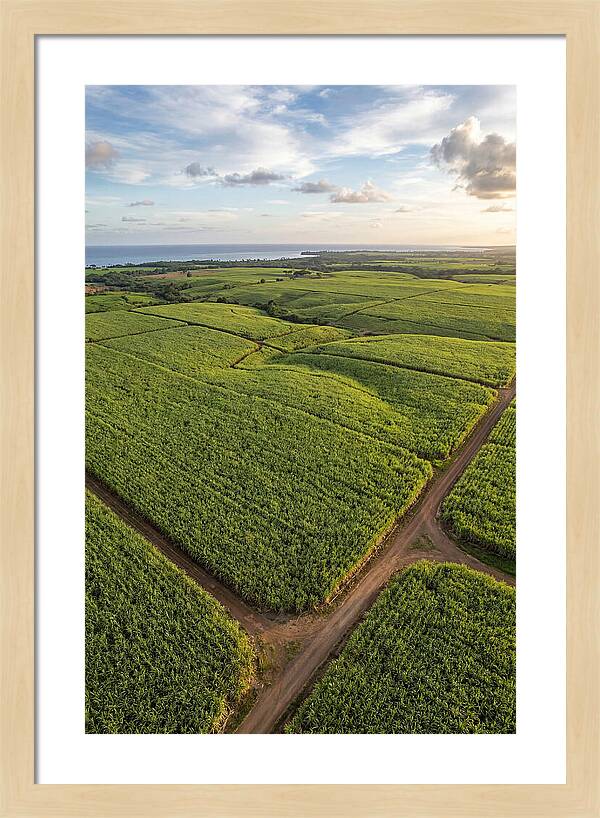 Farm Landscape Under Golden Skies