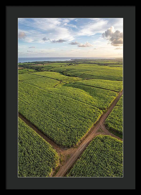 Farm Landscape Under Golden Skies