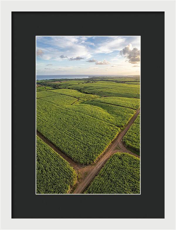 Farm Landscape Under Golden Skies