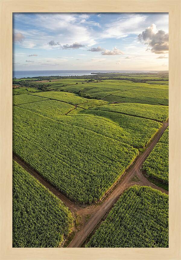Farm Landscape Under Golden Skies