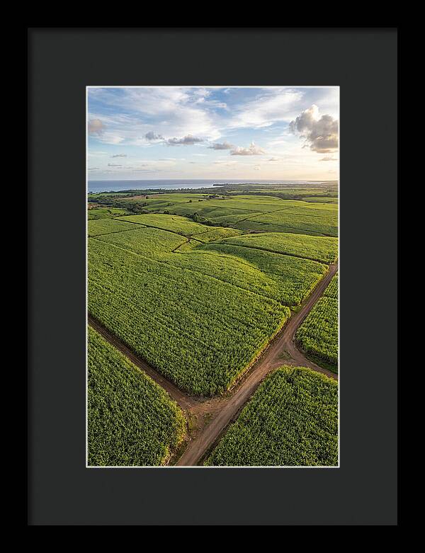 Farm Landscape Under Golden Skies
