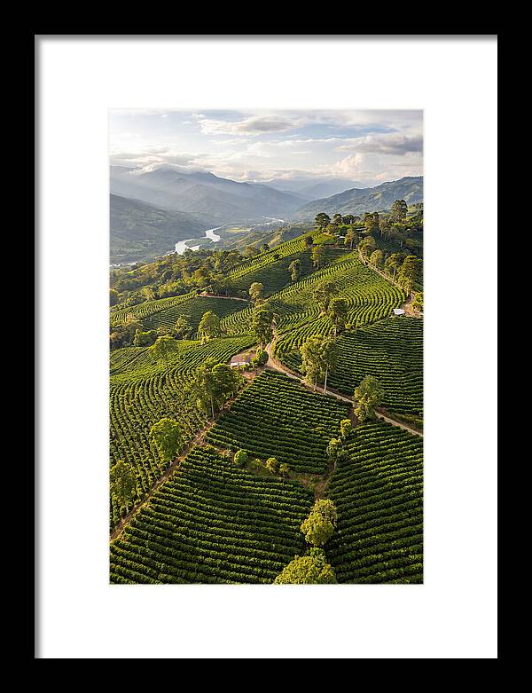 Farm Life In Colombia