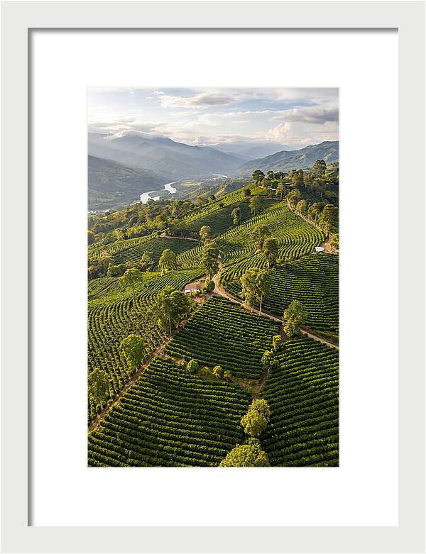 Farm Life In Colombia