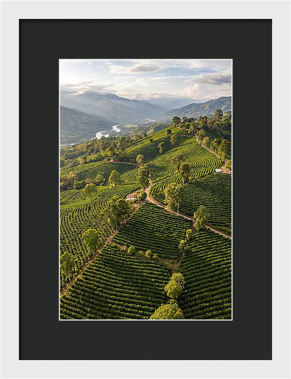 Farm Life In Colombia
